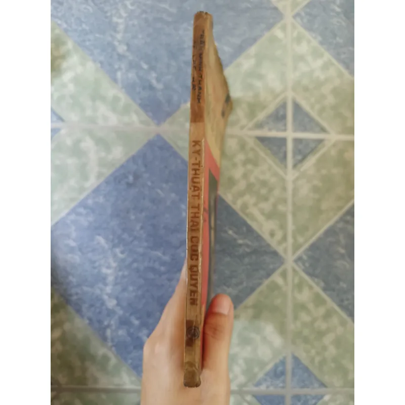 Kỹ thuật Thái cực Quyền - vỡ sư Trần Minh Thanh & Lạc Hà 708348