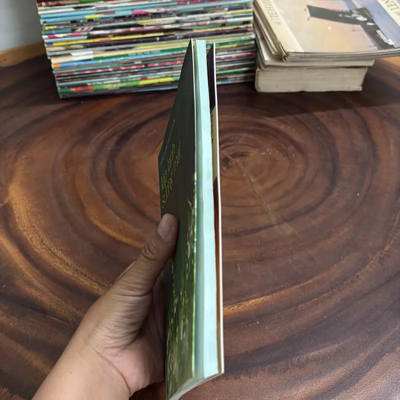 II Thơ: Lấp Lánh Sương Mai - Đồng Thanh Thơ Sài Gòn - 2015 997976