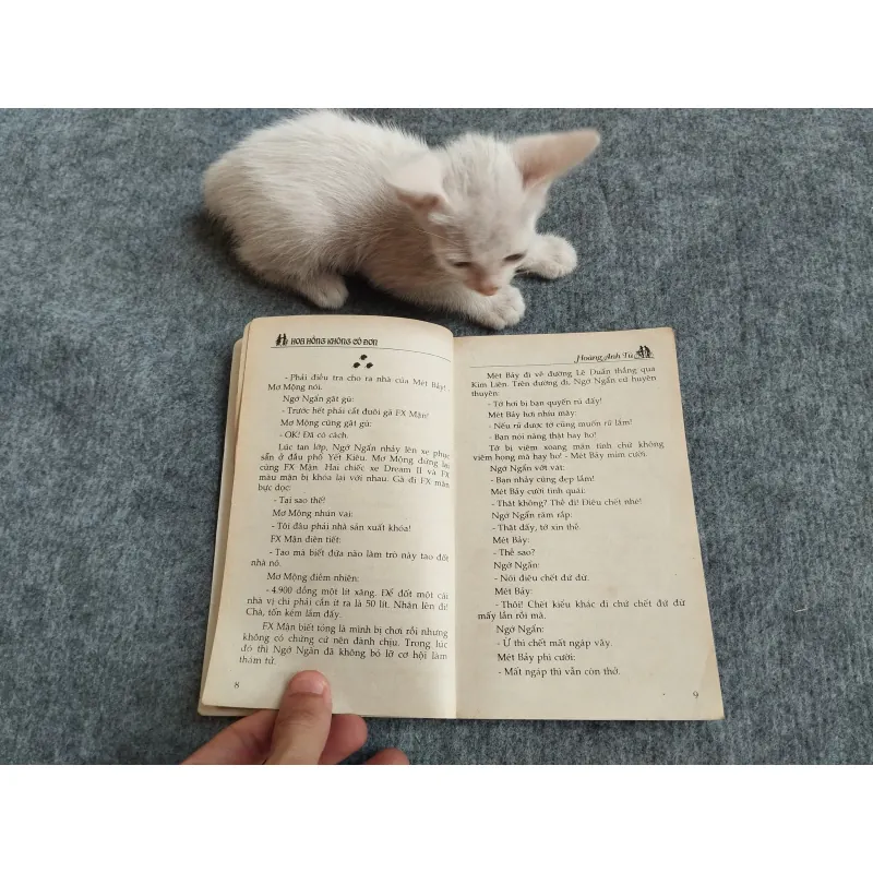 HOA HỒNG KHÔNG CÔ ĐƠN - HOÀNG ANH TÚ 567802