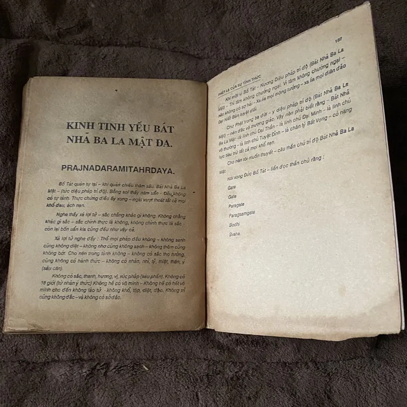 Phép lạ của sự tỉnh thức, Thích Nhất Hạnh (Phật giáo xưa cũ) 625960