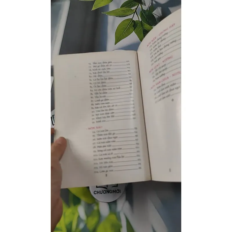 117 Món Ăn Chay Thông Dụng - Triệu Thị Chơi & Nguyễn Thị Phụng 727234