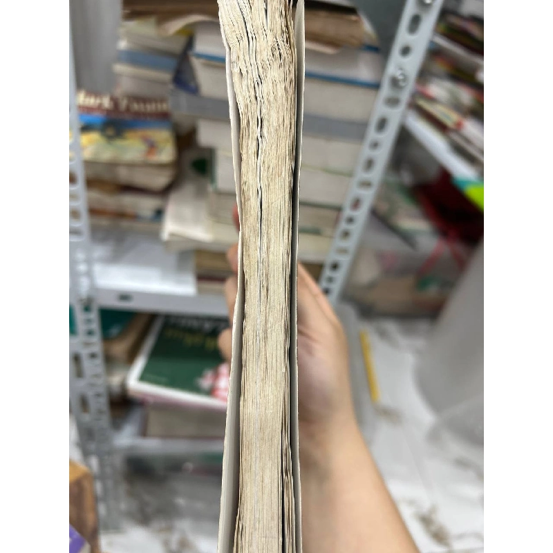 Hoa Tulip Đen - Alexandre Dumas - Alexandre Dumas 994981