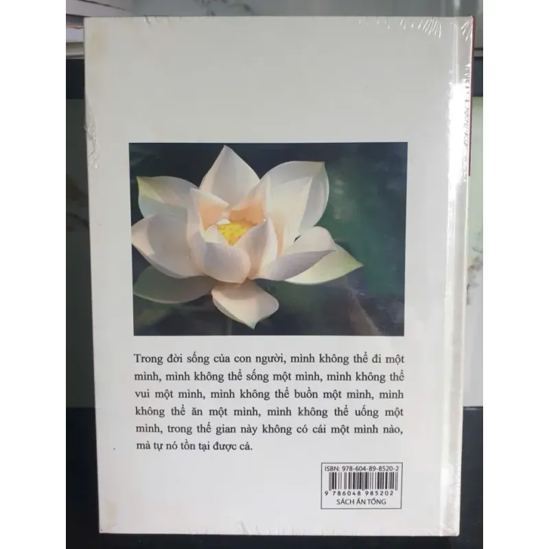 Sách Hoa Nở Trong Vòng Tục Lụy  - Thích Thái Hòa 687414