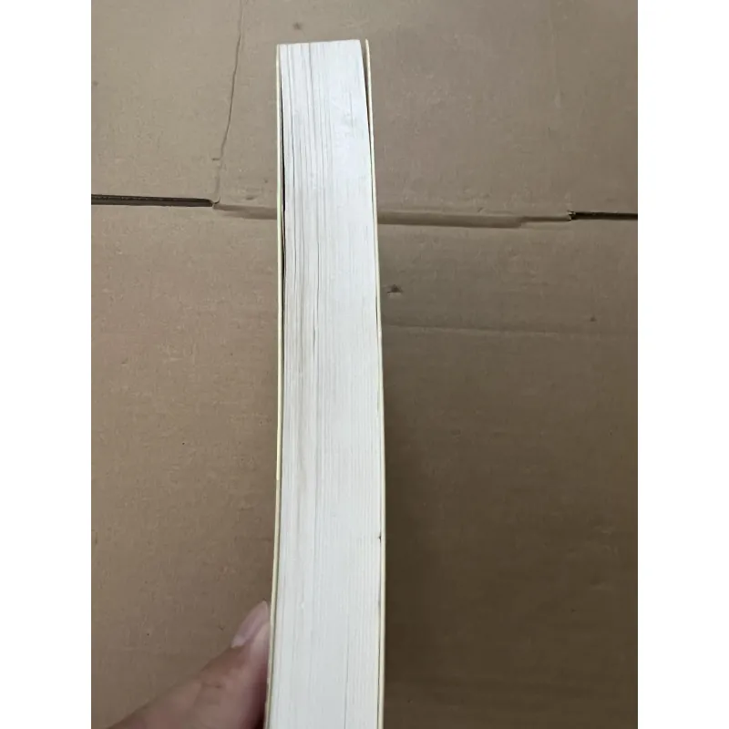 Người Đua Diều 789557