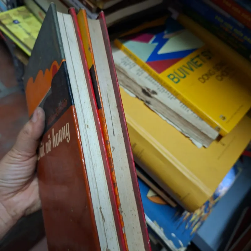 Đât vỡ hoang 1009341