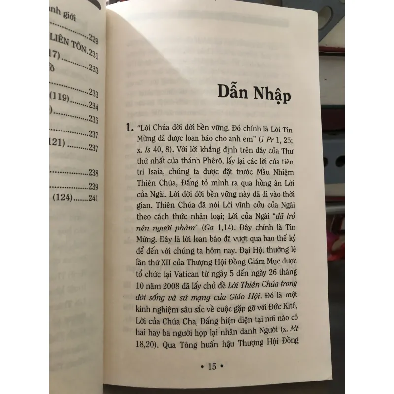 Tông huấn Verbum Domini 1009745