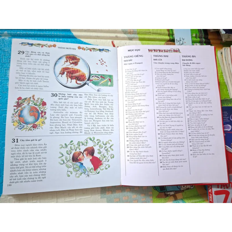 366 Câu Hỏi Khám Phá Thế Giới 735012