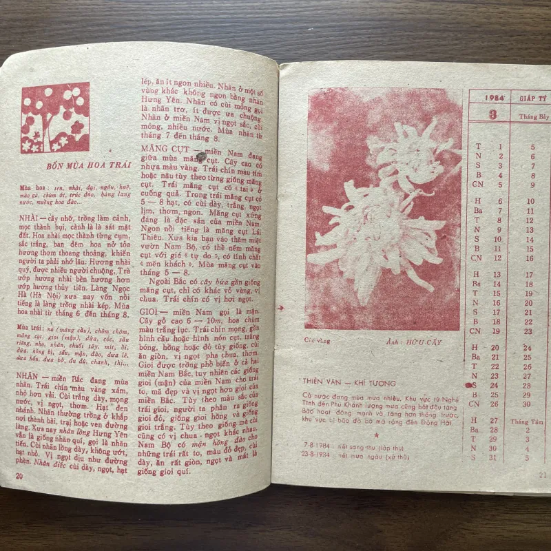 Sách lịch kiến thức phổ thông 1984 997104