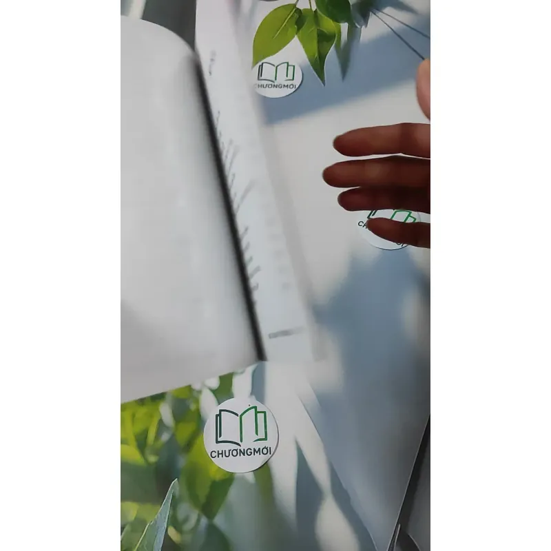 Mùa Xuân Ở Trên Cao - Mang Viên Long 928593