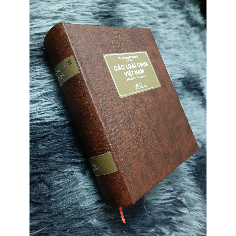 Các loài chim Việt Nam (Lê Mạnh Hùng) 736179