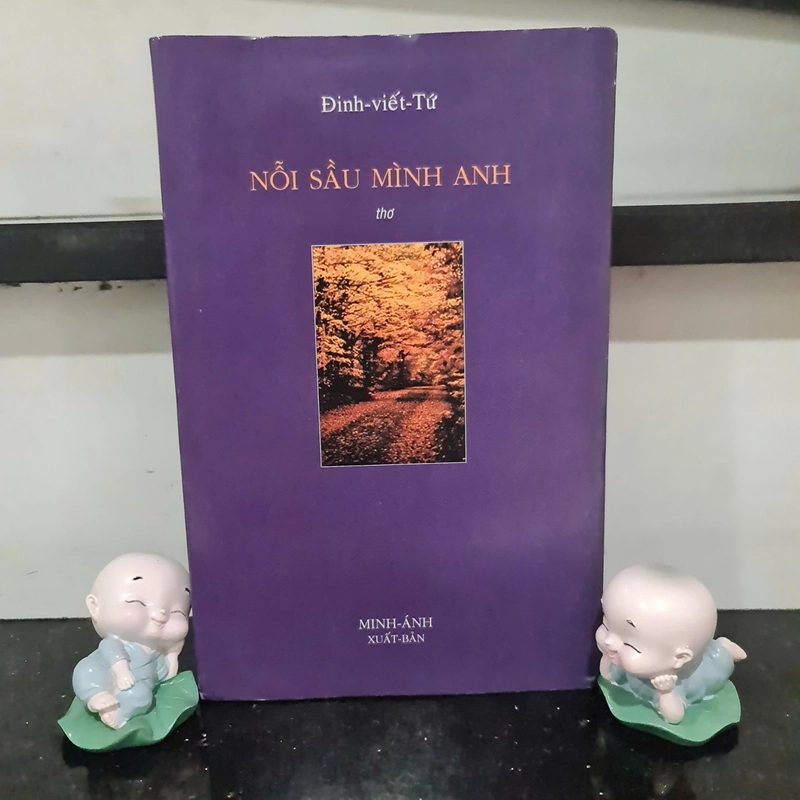 Nổi Sầu Mình Anh - Đinh Viết Tứ 470091