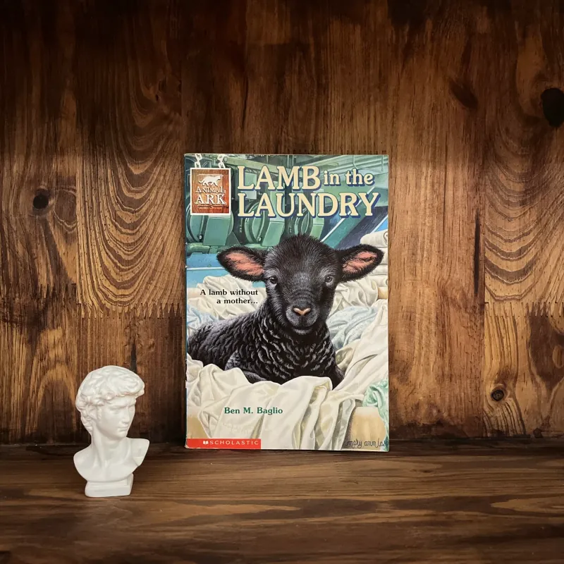 ✨𝑳𝒂𝒎𝒃 𝒊𝒏 𝒕𝒉𝒆 𝑳𝒂𝒖𝒏𝒅𝒓𝒚✨ 689619