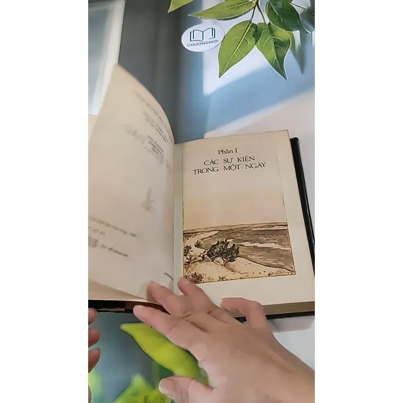 Nê-Bít-Đắc (1983) - Béc-dư Kéc-ba-ba-ep 607736