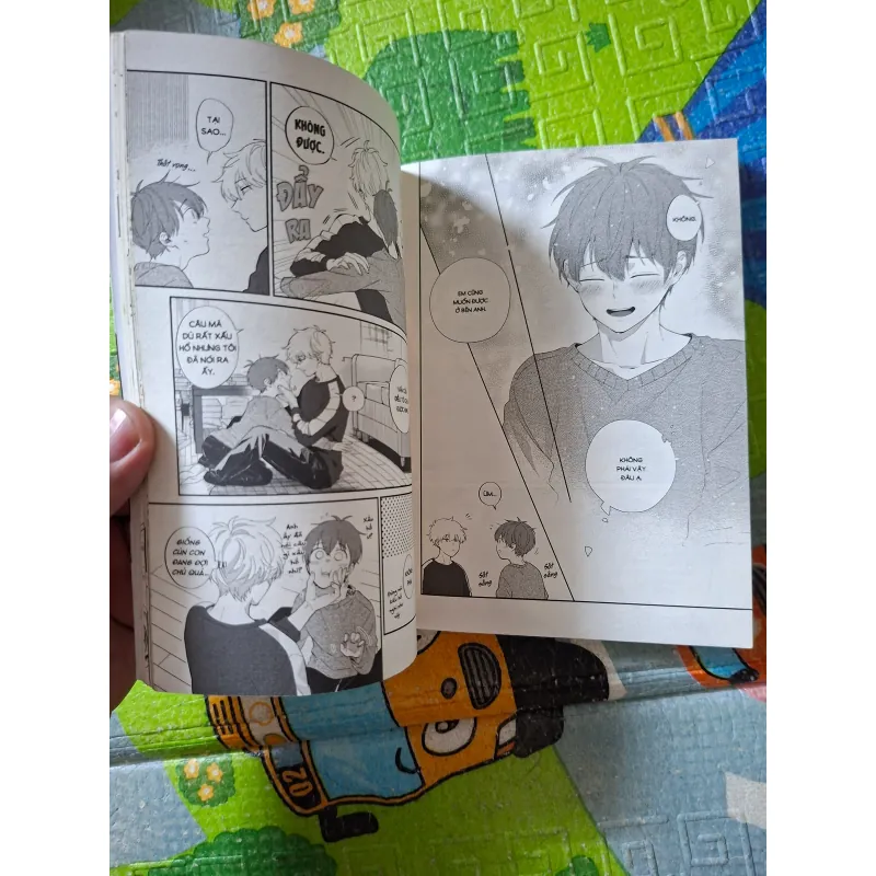 Gối Ôm Của Nhà Văn Hayama 1022883