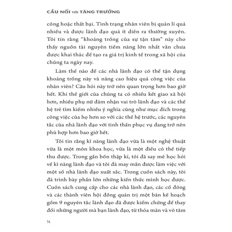 SÁCH: CẦU NỐI TỚI TĂNG TRƯỞNG 941754