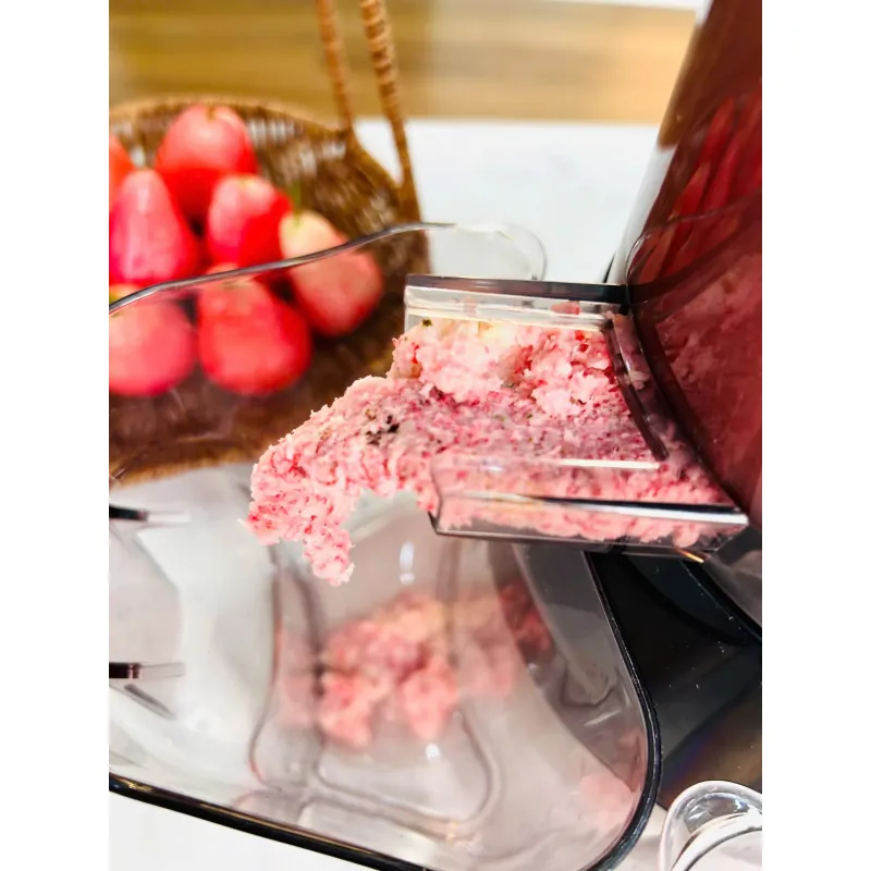 MÁY ÉP CHẬM UNIE UE-580 746837