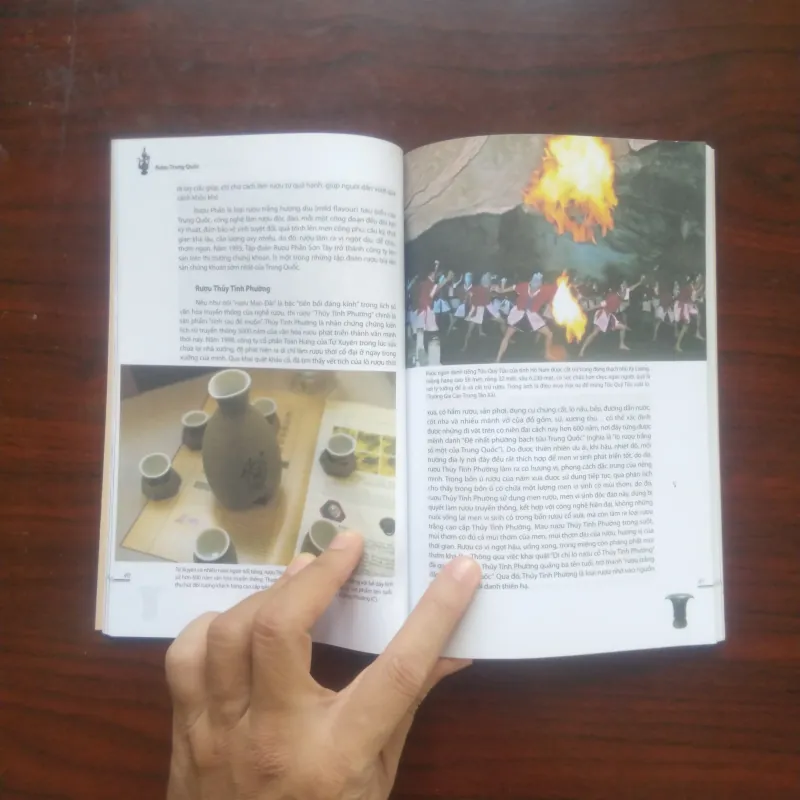 [Sách Văn Hóa Ẩm Thực] Rượu Trung Quốc (Lý Tranh Bình) Full Color 937031