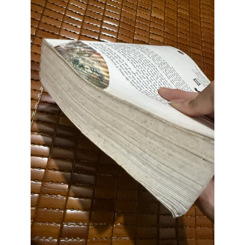Suy ngẫm lại sự thần kỳ Đông Á 547575