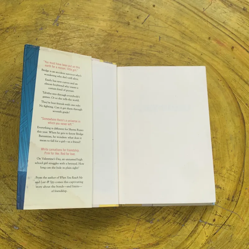 GOODBYE STRANGER - REBECCA STEAD 762299