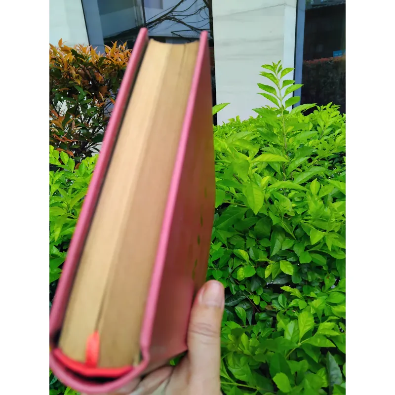 Kieu de Nguyen Du 960887