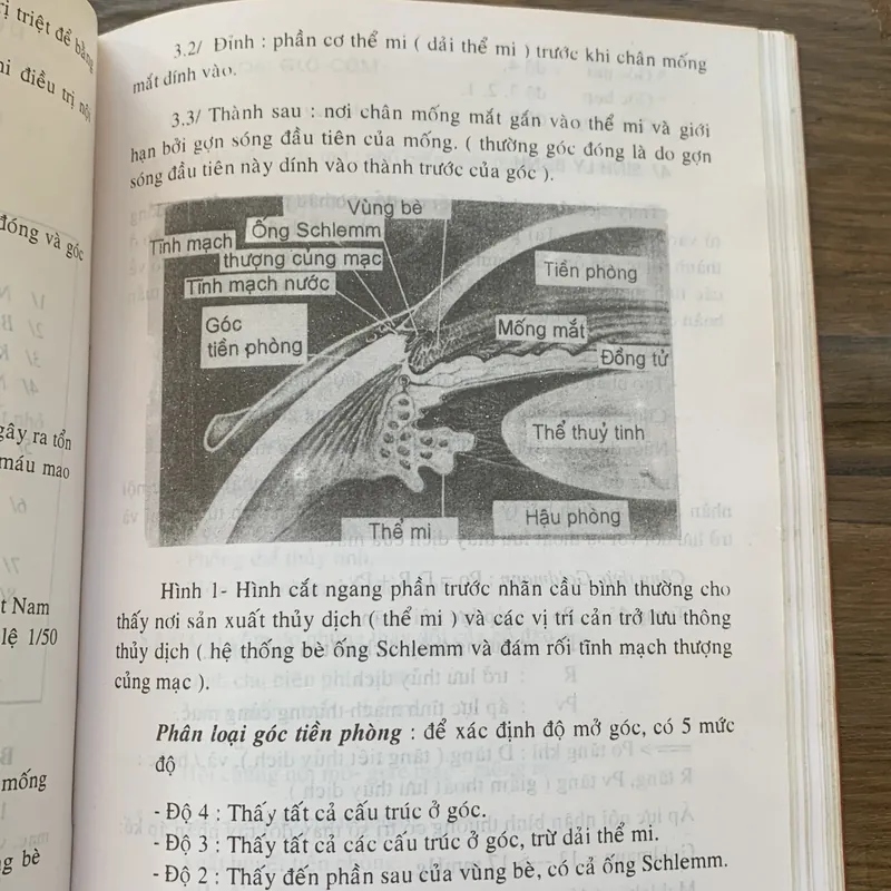 Giáo trình nhãn khoa, Nguyễn Xuân Trường 713182