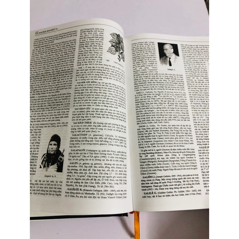 📚 TỪ ĐIỂN BÁCH KHOA VIỆT NAM – TẬP 2 539013