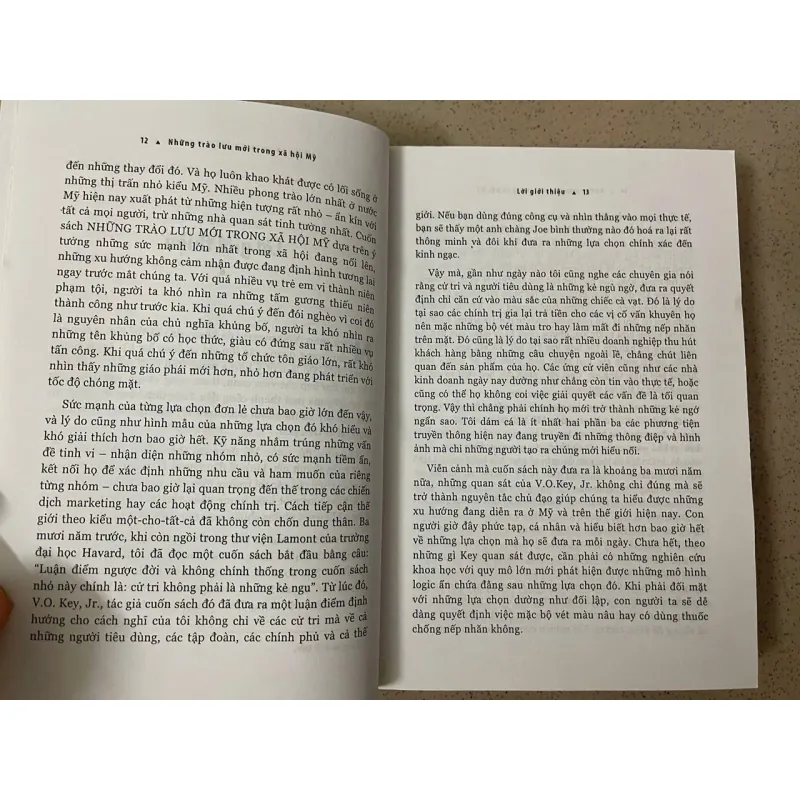 NHỮNG TRÀO LƯU MỚI TRONG XÃ HỘI MỸ 1022312