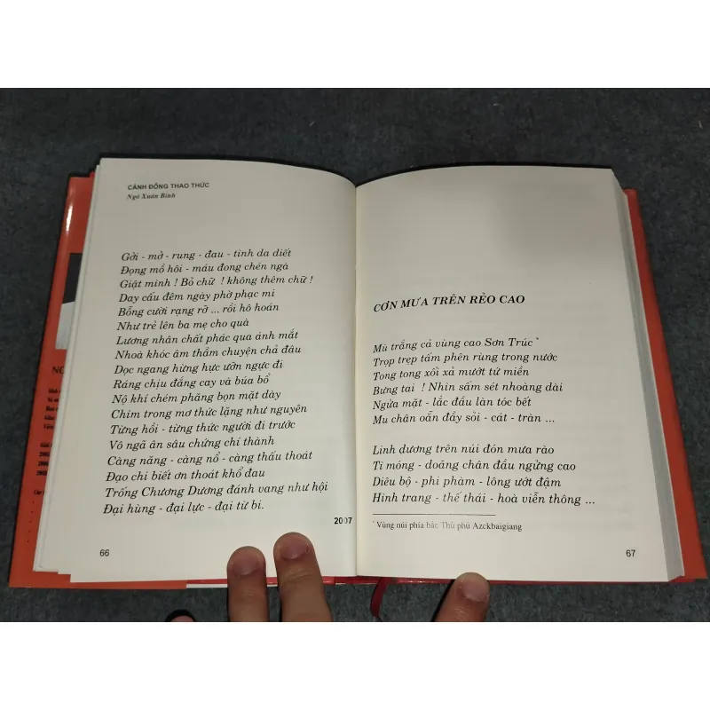 CÁNH ĐỒNG THAO THỨC - NGÔ XUÂN BÍNH 729325