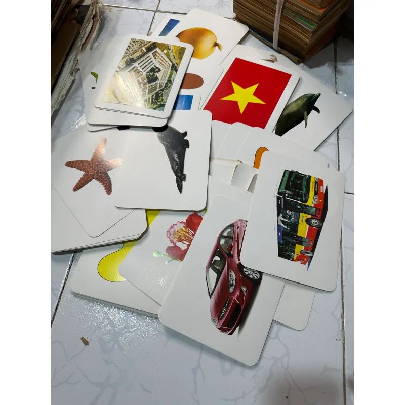 Bộ thẻ dạy trẻ thế giới xung quanh 95 thẻ 1008561