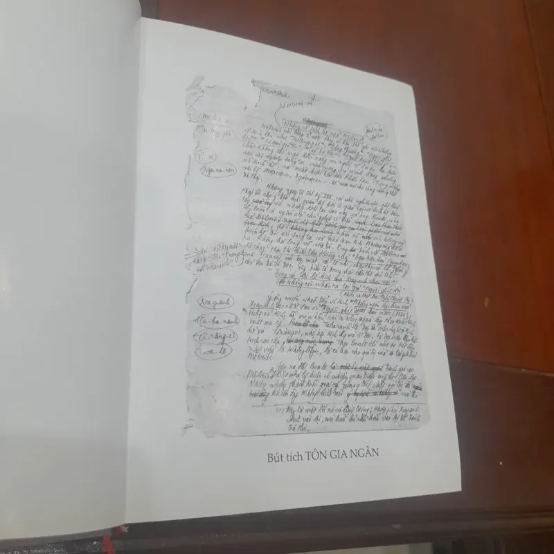 TÔN GIA NGÂN tuyển tập 711893