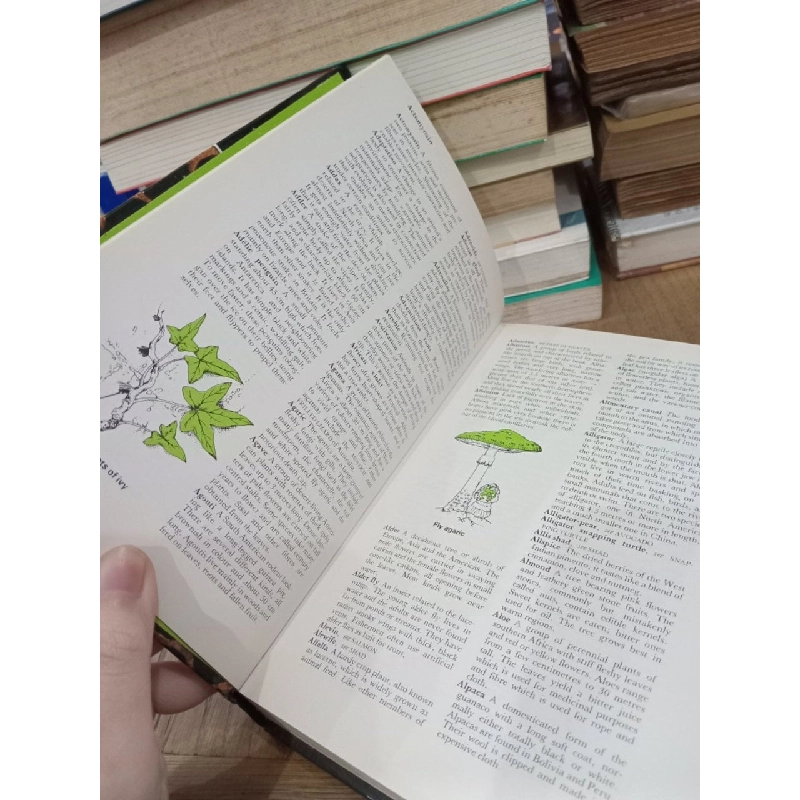 Purnell's concise dictionary of nature - Michael Dempsey 750098