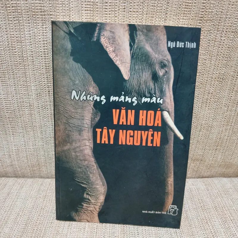 Những mảng màu văn hóa Tây Nguyên - Ngô Đức Thịnh 730692