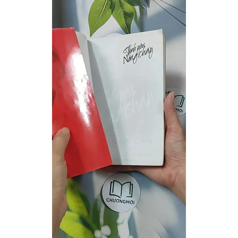 Tình yêu nồng cháy - Sái Cần Cần 688658