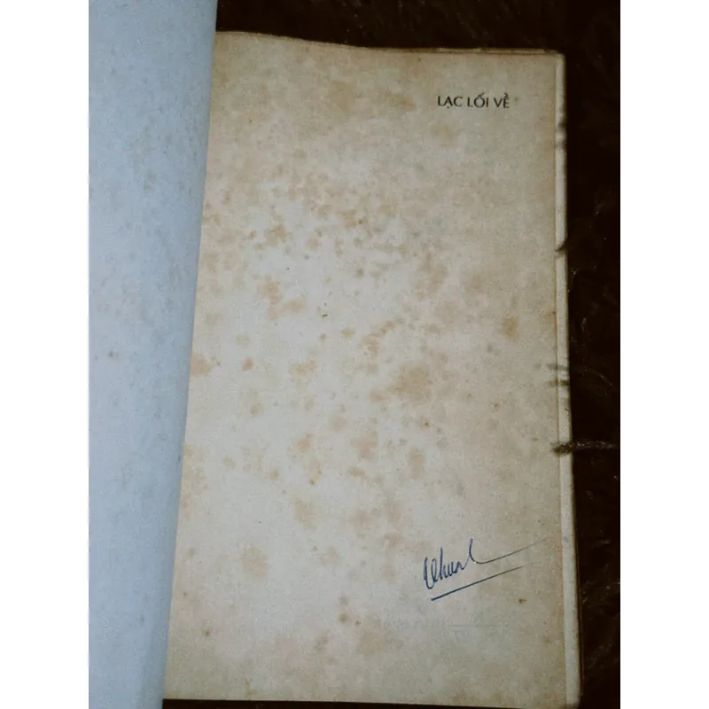 Lạc lối về 698386