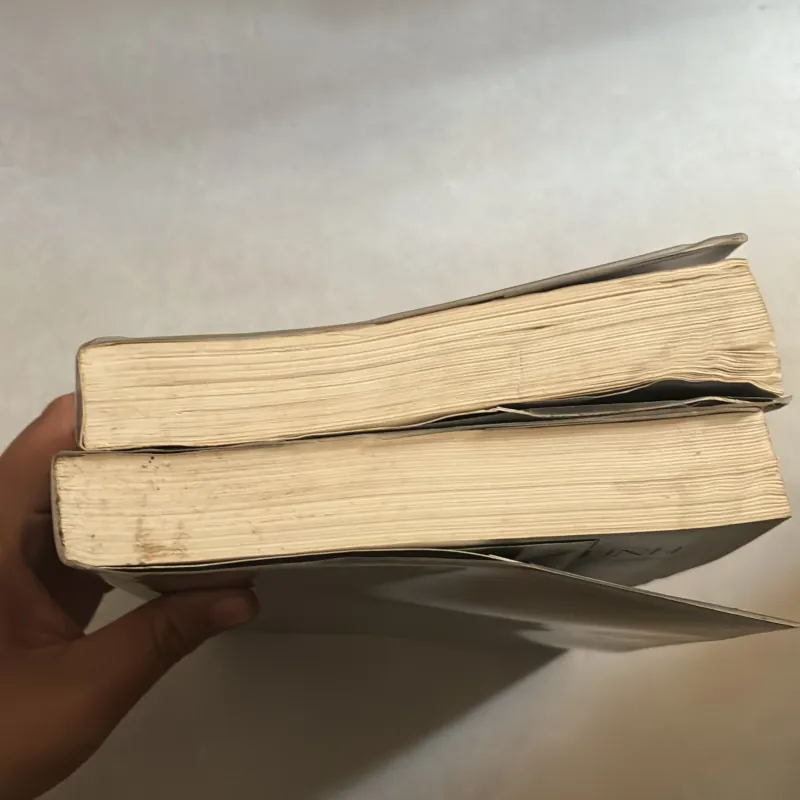 Đạo tình trọn bộ 2 tập - Chu Ngọc 755120