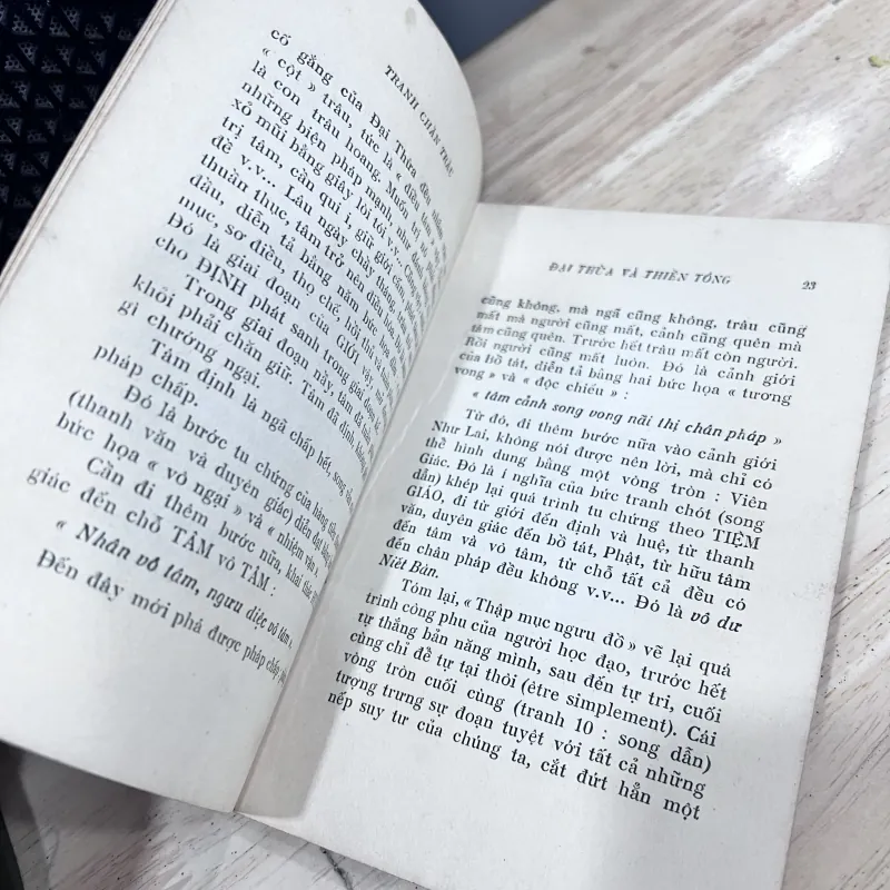 Tranh chăn trâu - Trúc Thiên 760701