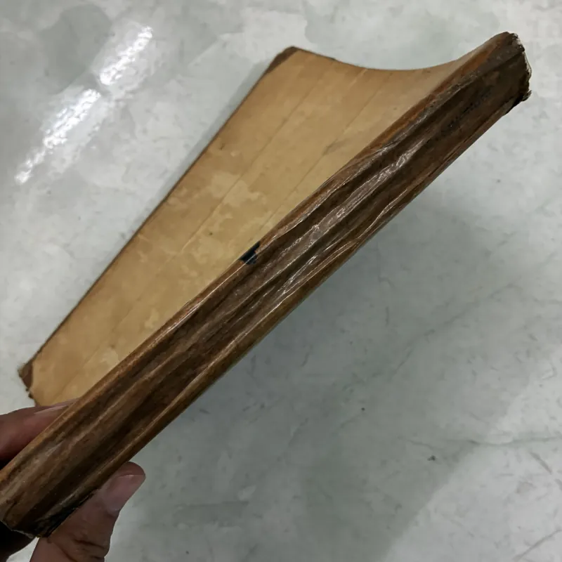 Megre và vụ án người đàn bà áo tím 1024564