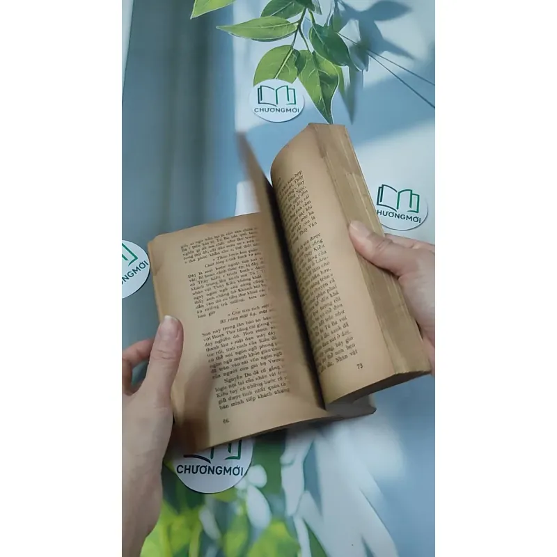 [MIỄN PHÍ BỌC SÁCH] [XƯA] Tiểu Thuyết Việt Nam Hiện Đại 2 (1978) - Phan Cự Đệ 776017