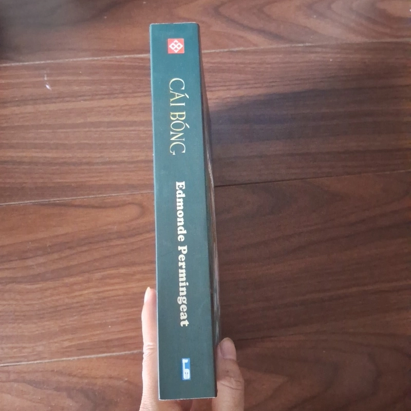 Cái bóng    524620