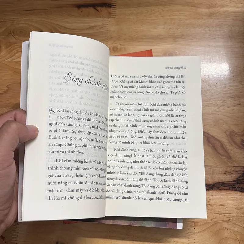 Sách Phật Giáo: Hạnh Phúc Cầm Tay - Thích Nhất Hạnh - Chân Hội Nghiêm (Chuyển Ngữ) - 2020 702684