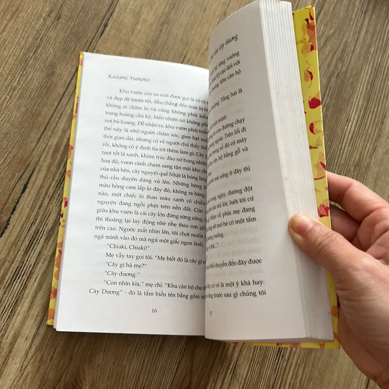 Mùa thu của cây dương 640108