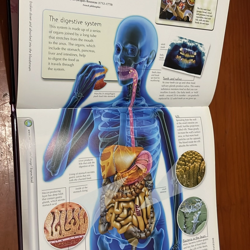 PICTURE BOOK Human body 536365