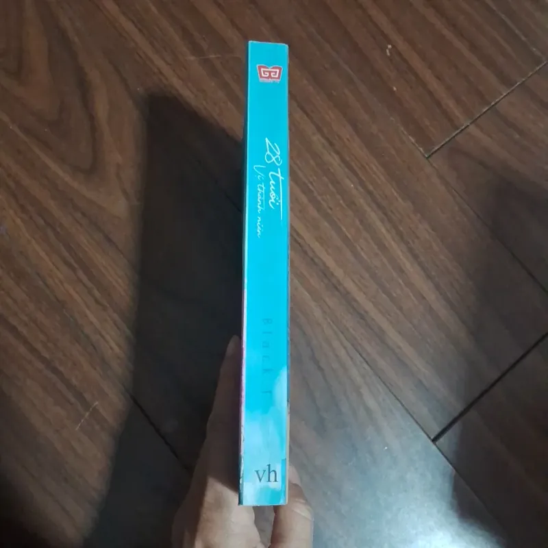 28 tuổi vị thành niên 706600