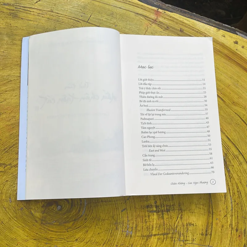 COMBO THỬ TÌM DẤU CHÂN TRÊN CÁT & THI VÂN YÊN TỬ 738022