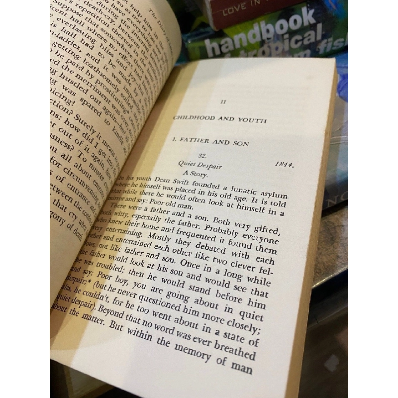 The Diary - Soren Kierkegaard 533766