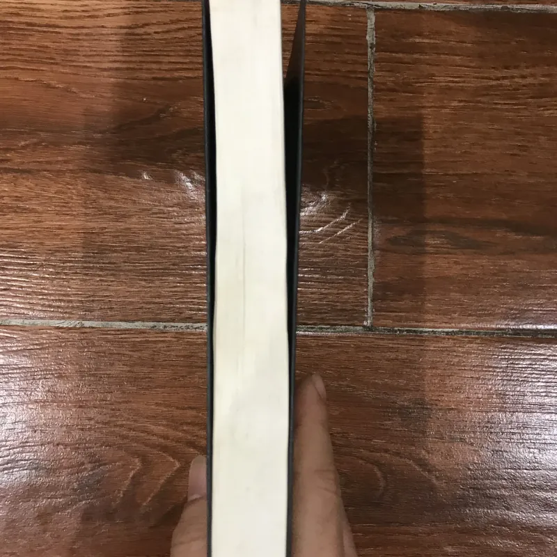 Kasha - Miyuki Miyabe (6) 799969