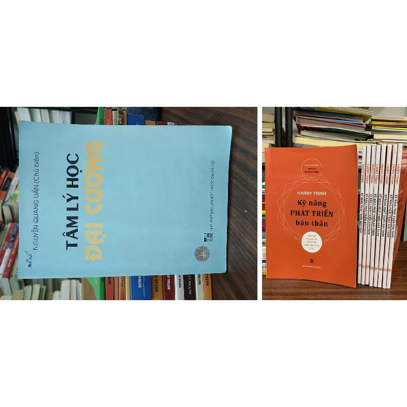 Tâm lý học đại cương + Kỹ năng phát triển bản thân — 929443