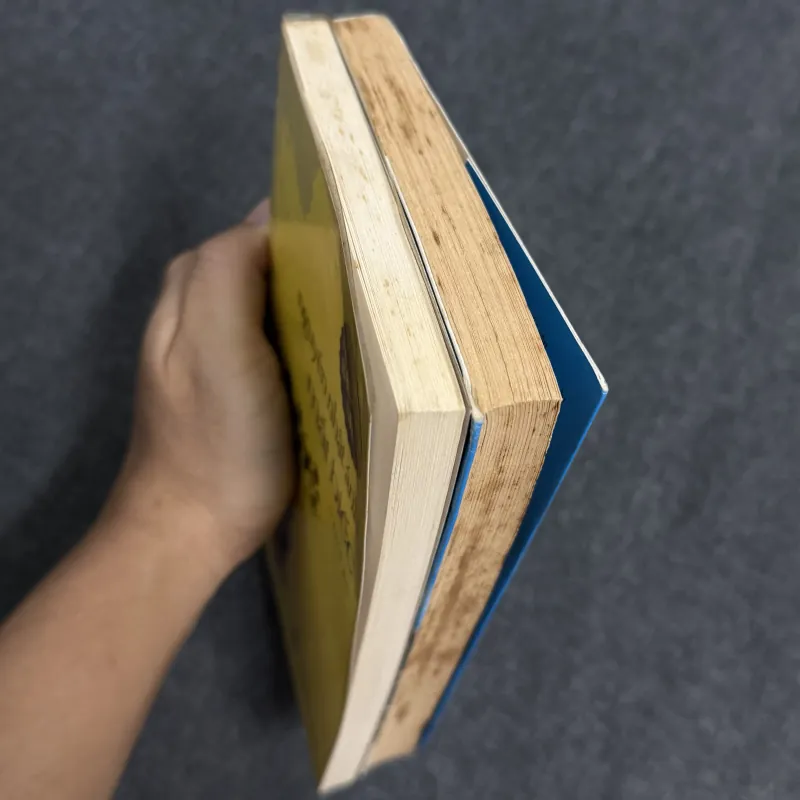 Mắt biếc - Nguyễn Nhật Ánh 1023120