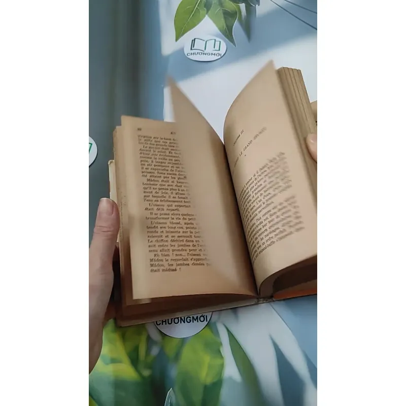 [MIỄN PHÍ BỌC SÁCH] En mission chez les bêtes - Pâquerette de Quénetain 749582