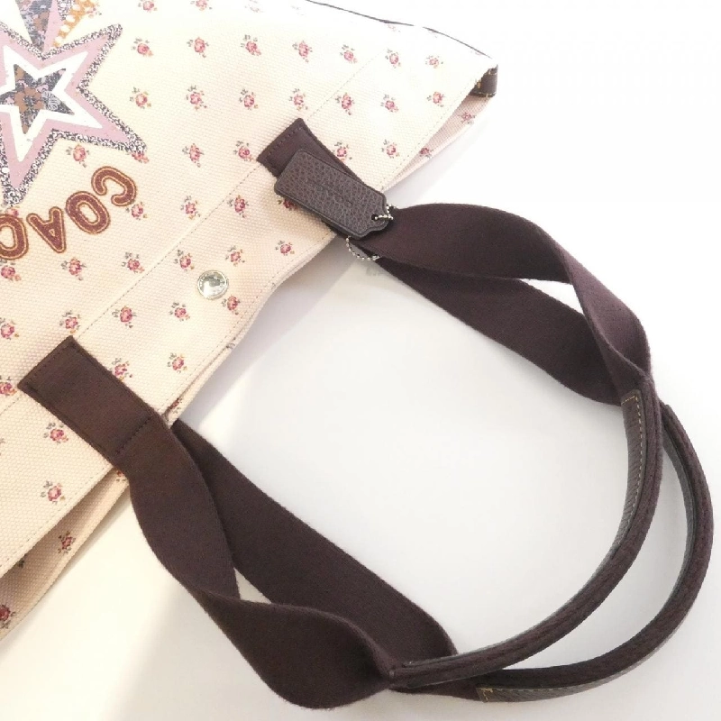 Túi Coach F55598 617832